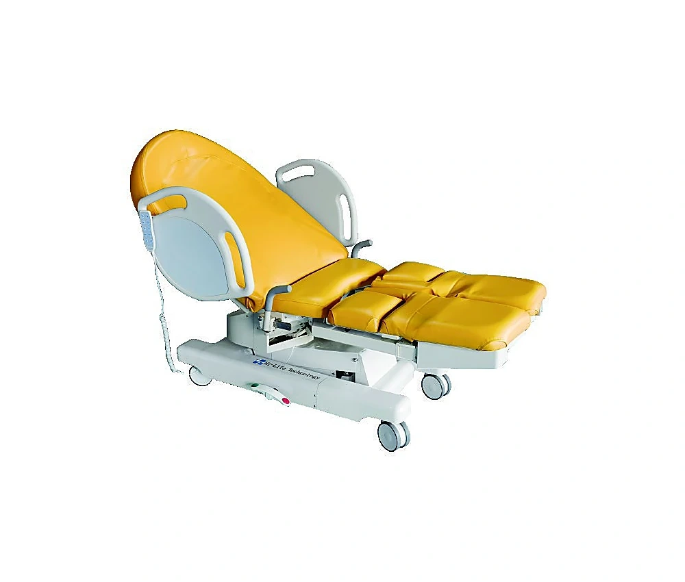 Electric Delivery Bed — AMICI-B210C