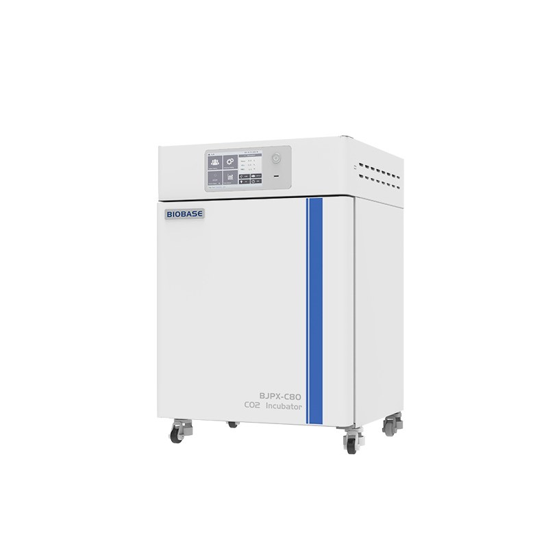 AM BJPX-C80 — CO2 Incubator