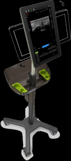 AM Piloter Vet — Veterinary Ultrasound