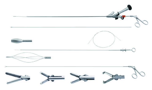 YSNJ-SS-3 Ureterorenoscopy Set