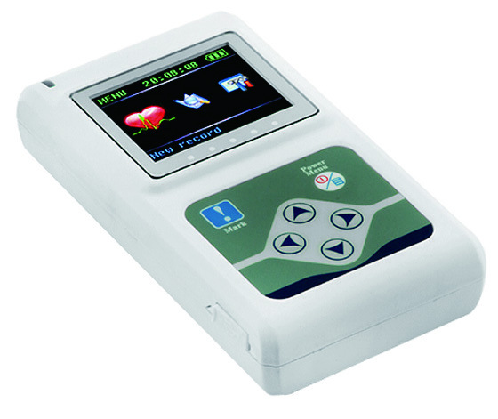 YSECG9803 (Dynamic)