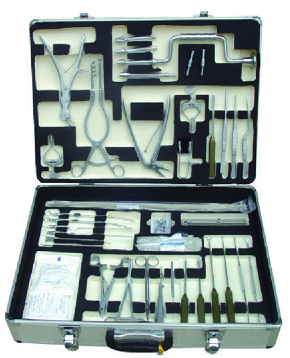 YSOT-ZF131 Skull Set